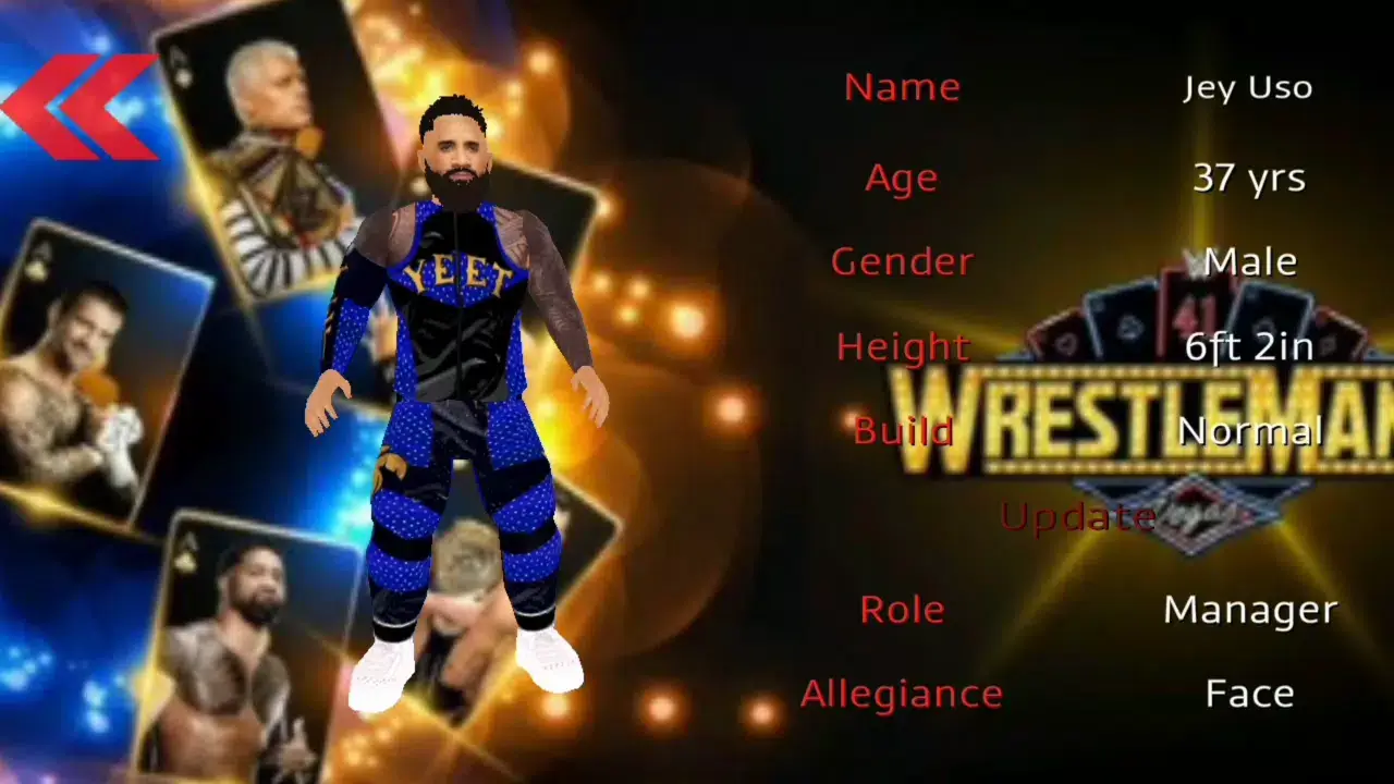 WR3D 2K25 screenshot 3