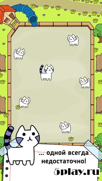 Cat Evolution