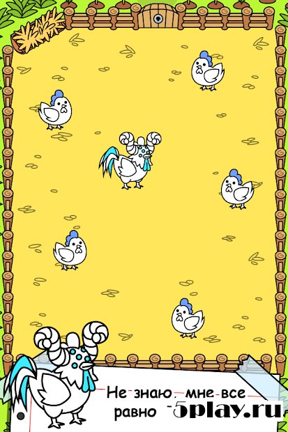 Chicken Evolution