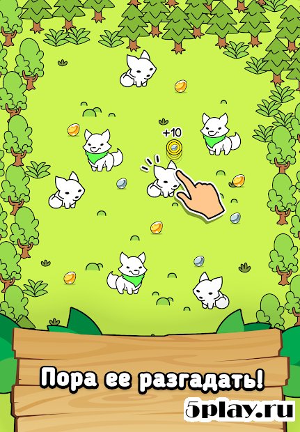 Fox Evolution