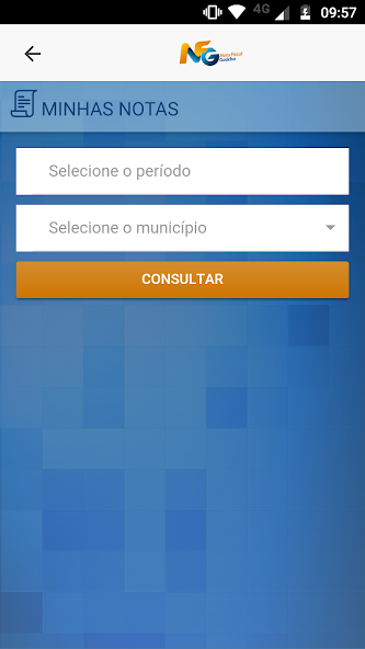 Nota Fiscal Gaúcha screenshot 4