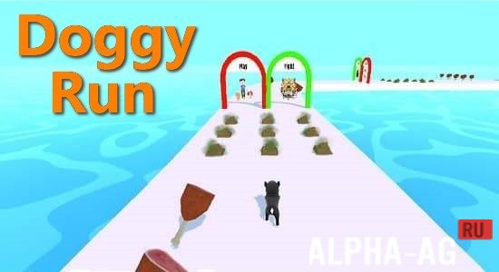 Doggy Run