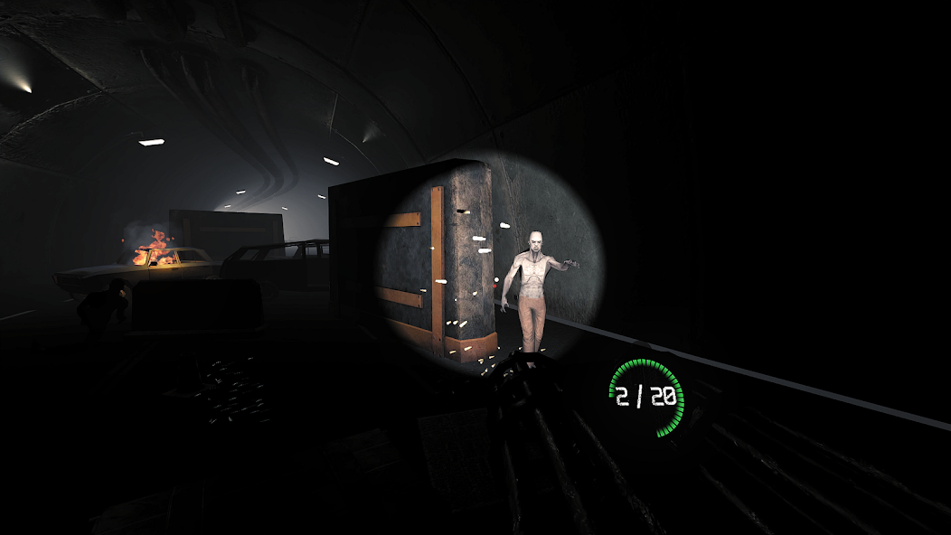 Z Show screenshot 5