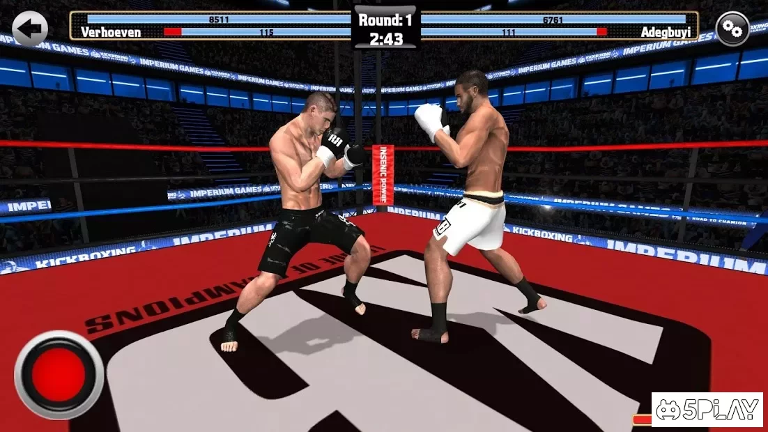 Kickboxing Fighting