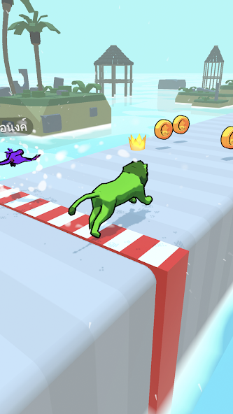 Animals Race!