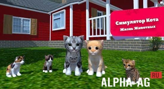 Cat Simulator