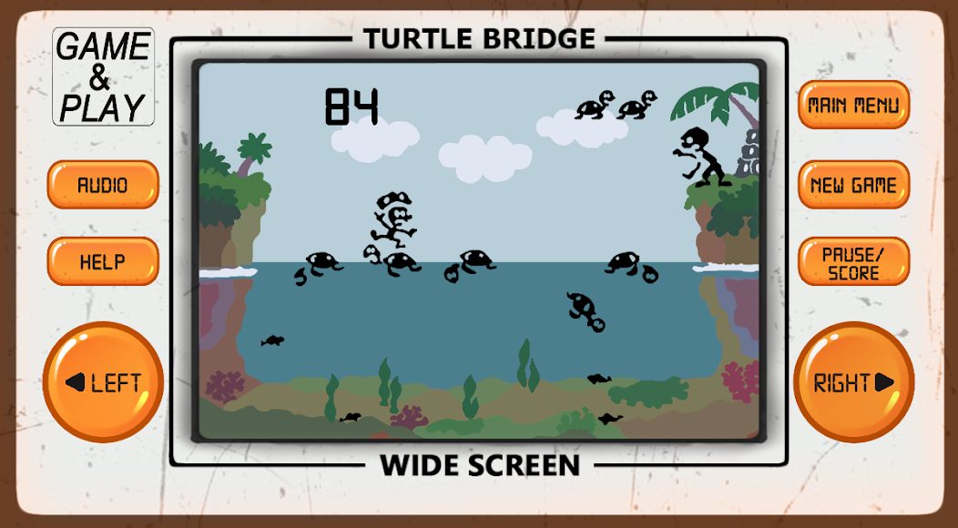 Turtle Bridge