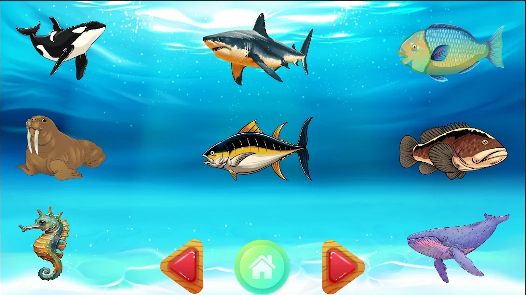 Sea Animals Puzzles for KIDS screenshot 4