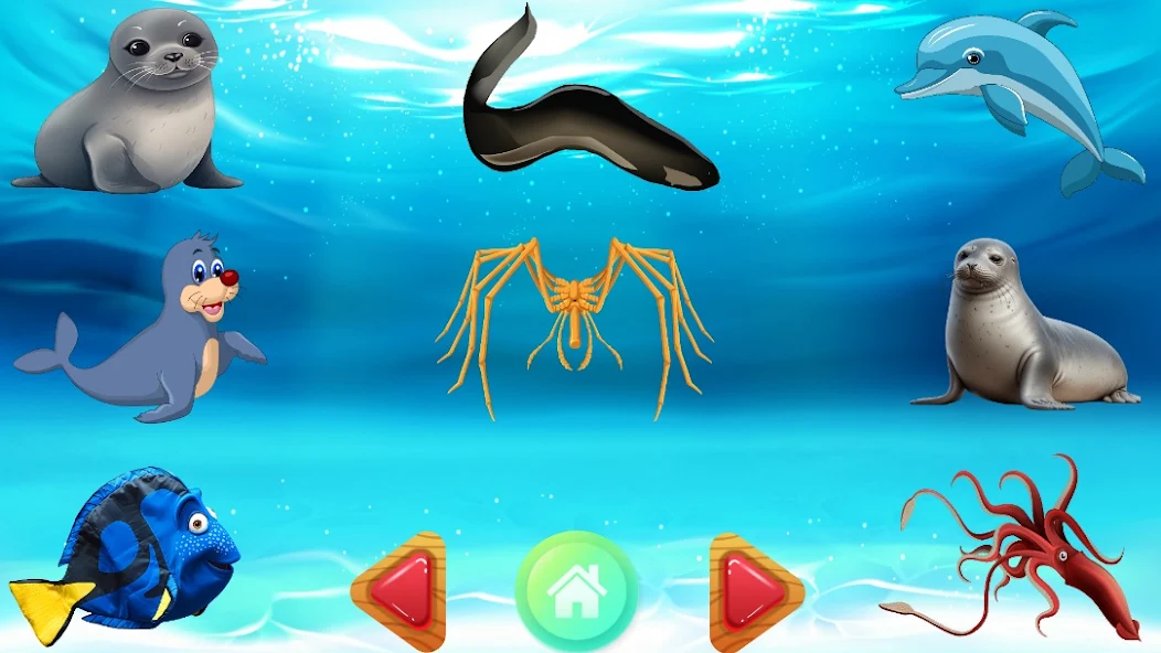 Sea Animals Puzzles for KIDS screenshot 5