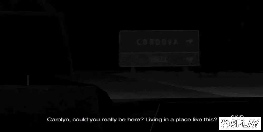 Concluse