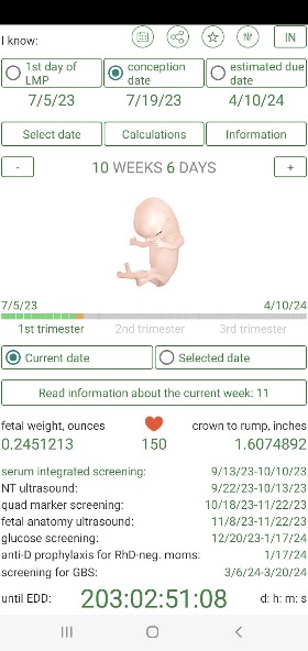 Pregnancy Calculator