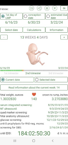 Pregnancy Calculator screenshot 2