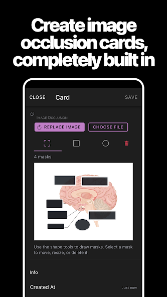 AnkiApp screenshot 2