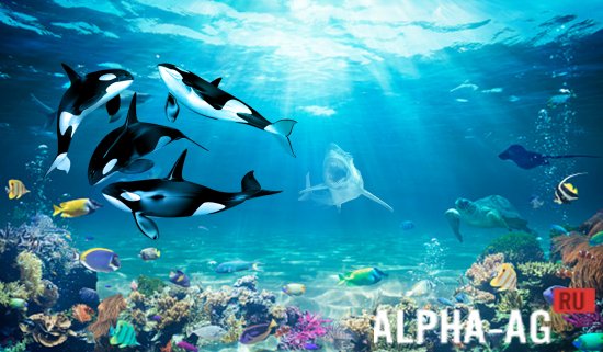 Mega Killer Whale Simulator screenshot 3
