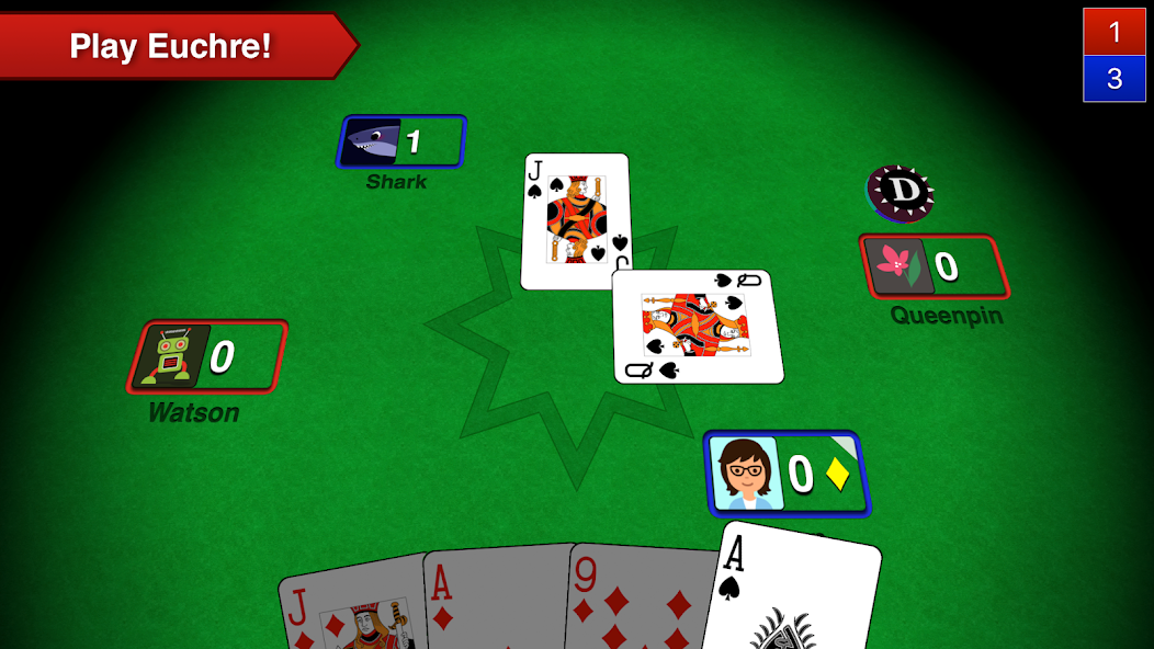 Euchre 3D