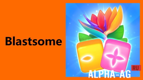 Blastsome