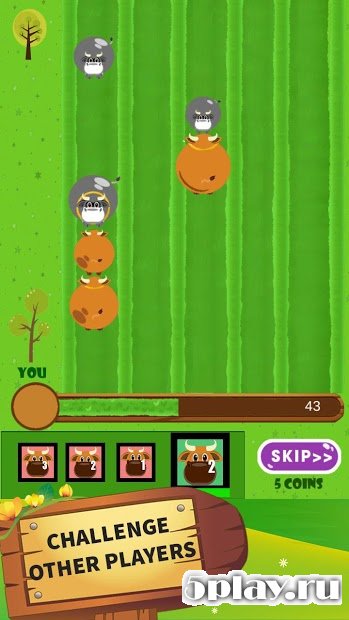 Bull vs Bull