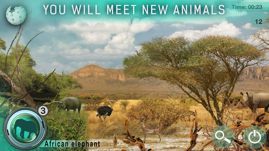 Hidden Animals : Photo Hunt