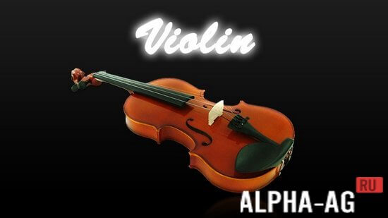 Violin