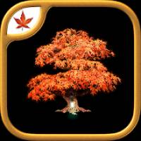 Fire Maple Games Collection 1.0.9