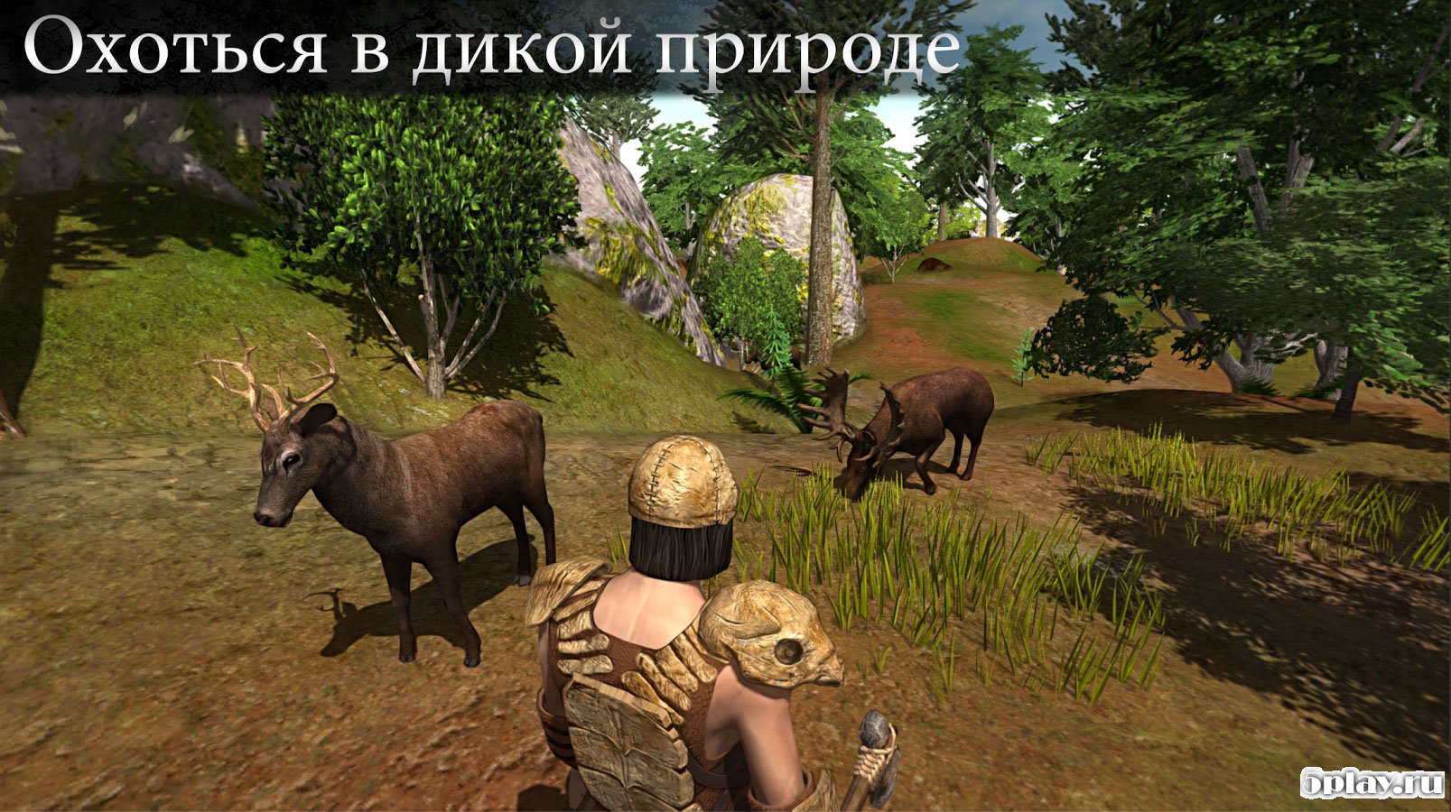 Survival Island 2017