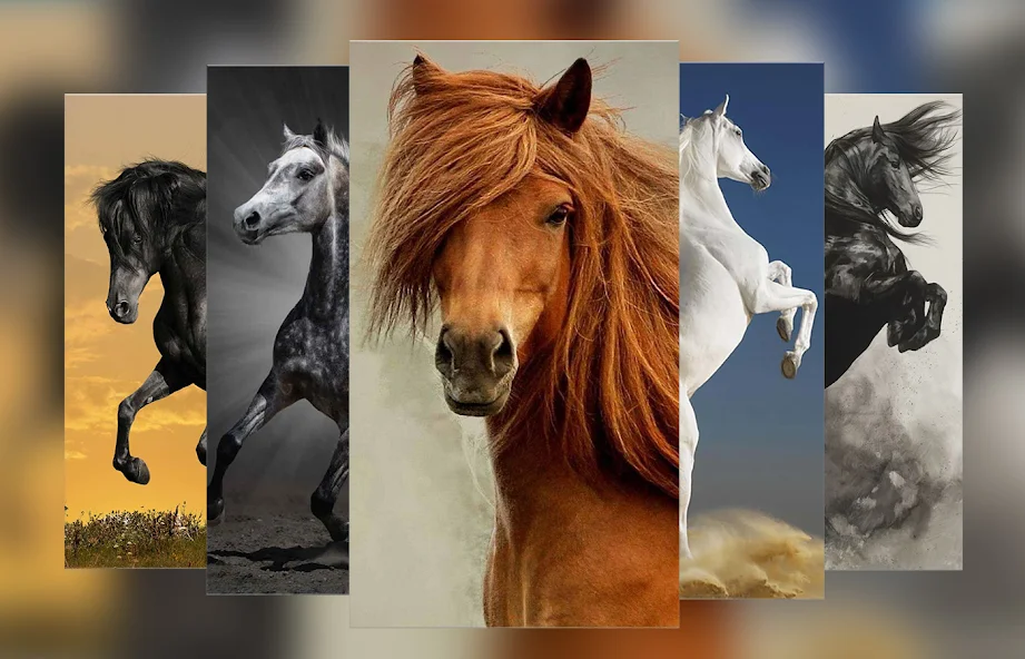 Horse Wallpapers and Backgrounds