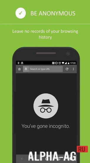 Private Browser screenshot 4
