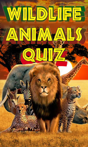 Animals Quiz