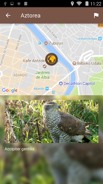 Biodibertsitatea screenshot 3