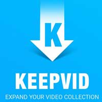 KeepVid Pro