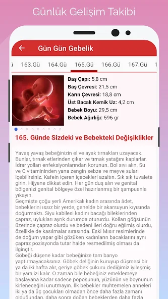 Gün Gün Gebelik screenshot 3