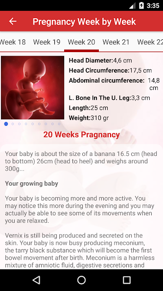 Pregnancy Day by Day screenshot 4