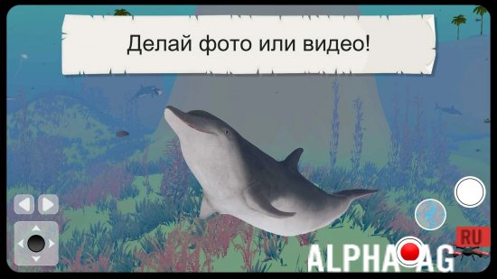 Взломанная Дикие животные 3D Cафари screenshot 2