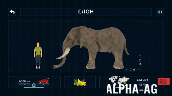 Взломанная Дикие животные 3D Cафари screenshot 5