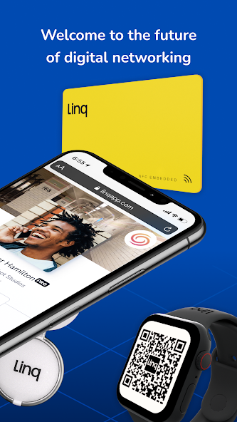 Linq screenshot 2