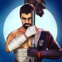 Shadow Ninja warrior