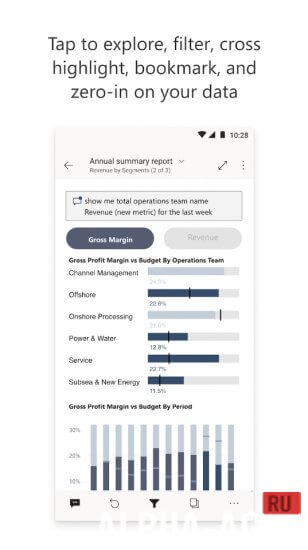 Microsoft Power BI screenshot 3