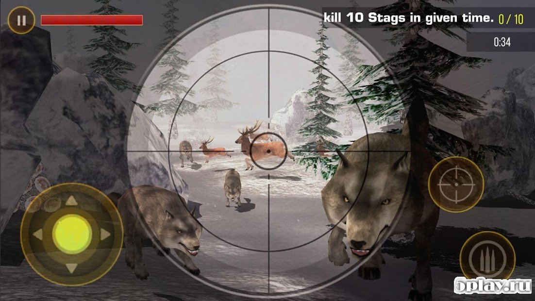 Deer Hunting 2019