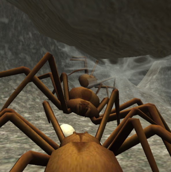 Download Spider Nest Simulator