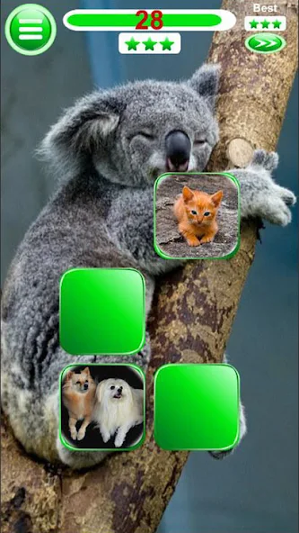 Memory Game Damla screenshot 2