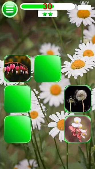 Memory Game Damla screenshot 3