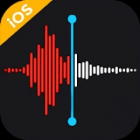 iVoice Pro