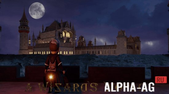 A Wizard's World
