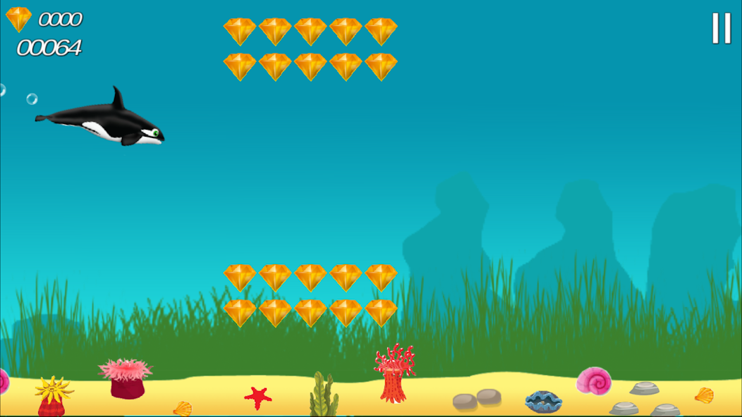 Orca Fish Home Adventure