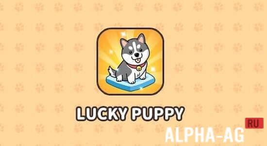 Happy Puppy