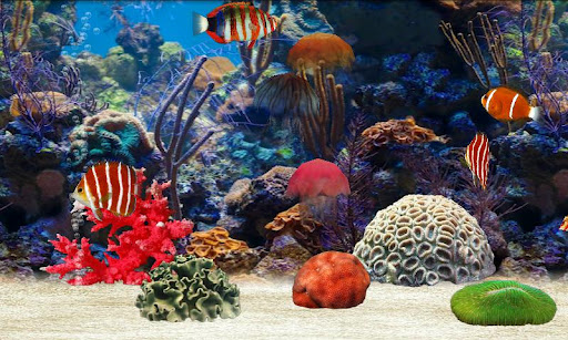 Fish Farm screenshot 1