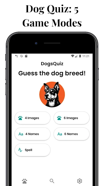 DogsQuiz