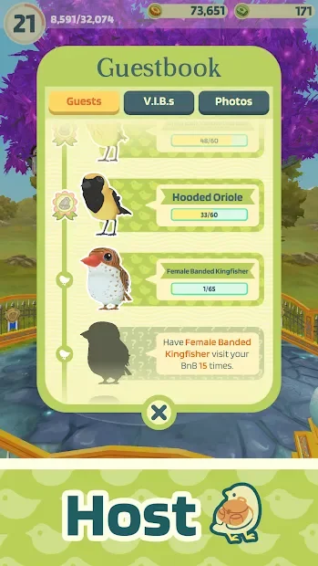 Bird BnB