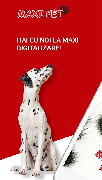 Maxi Pet