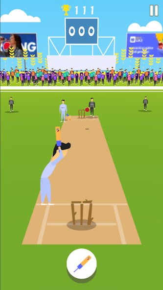 Cricket Summer Game screenshot 1